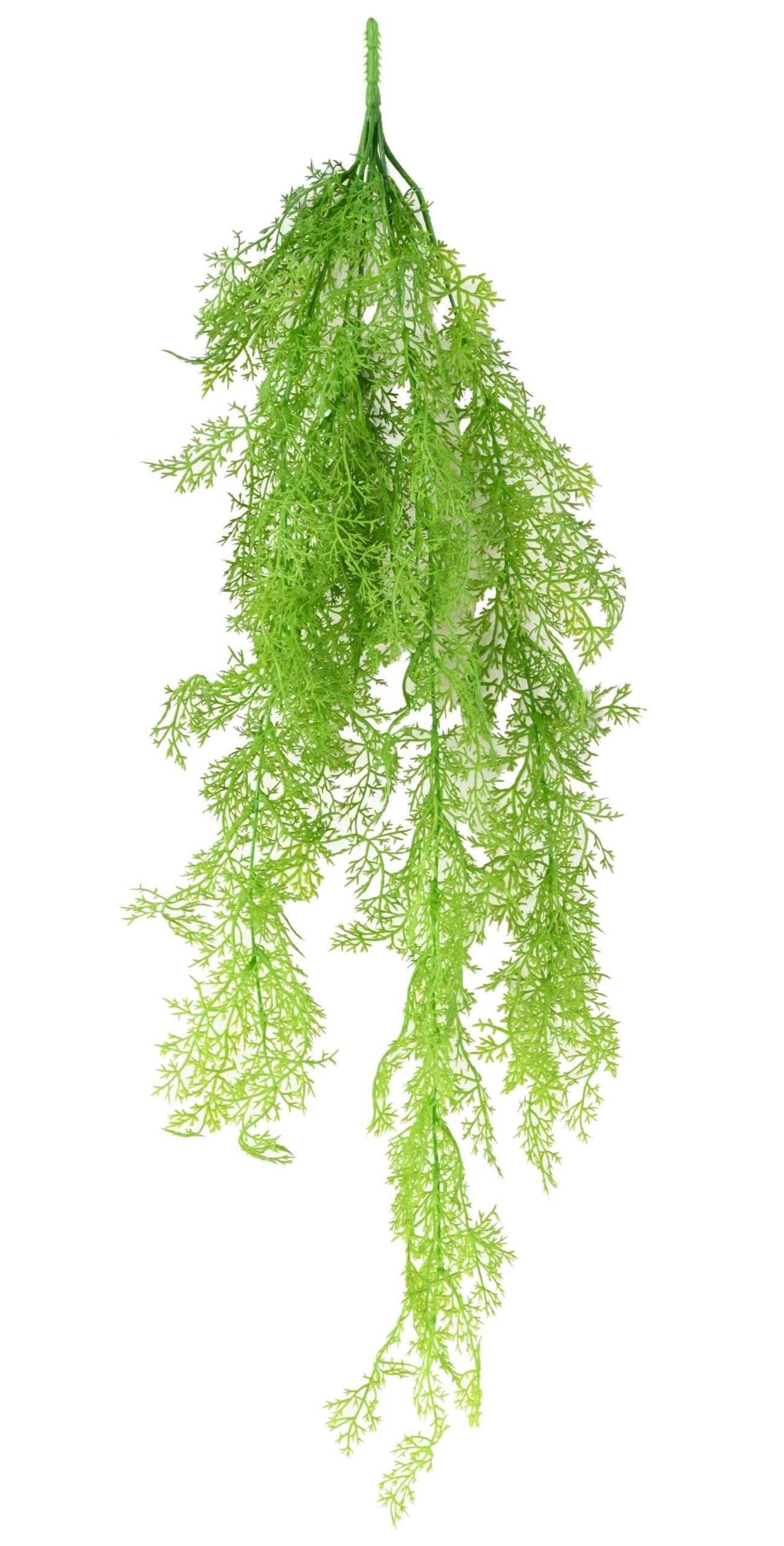 Künstliche Spargel Mini-Hängepflanze, ca. 80cm 1 Künstliche Spargel Mini-Hängepflanze, ca. 80cm