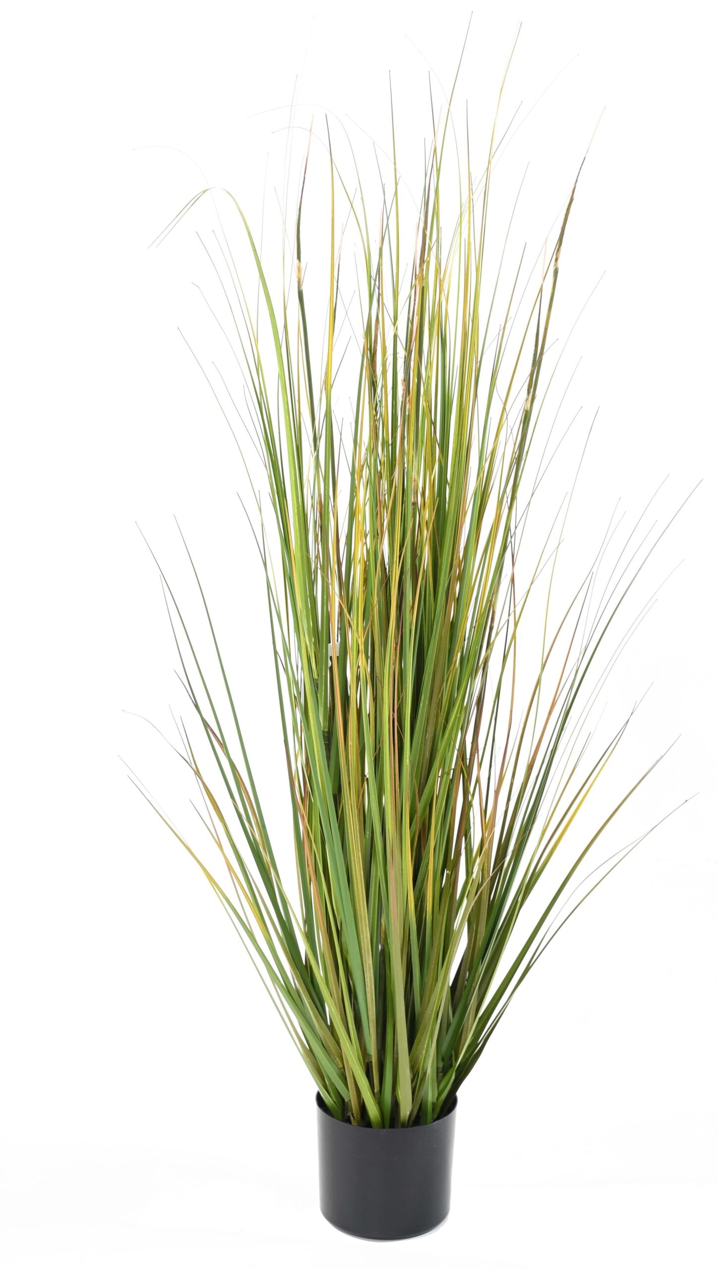 Künstliches Gras, 120cm hoch, grün-gelb, pflegeleicht 1 Künstliches Gras, 120cm hoch, grün-gelb, pflegeleicht