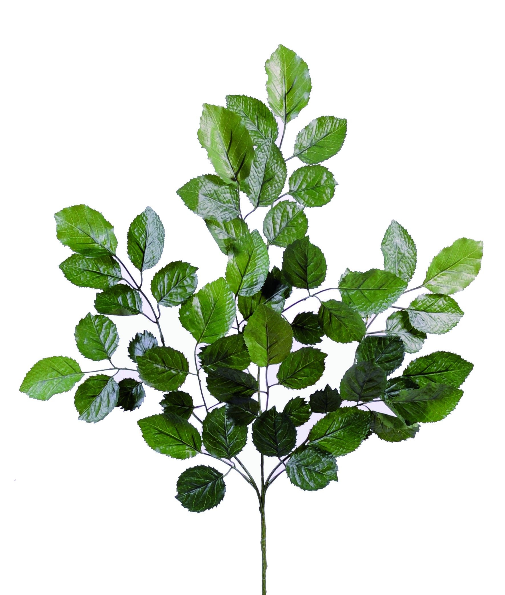 Künstlicher Buchen Zweig, ca 70cm, grün 1 Künstlicher Buchen Zweig, ca 70cm, grün