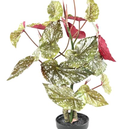 Künstliche Begonie: Pflegeleichte Deko für Ihr Zuhause