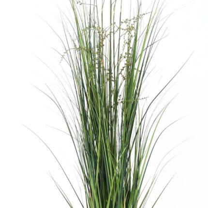 Künstliches Gras 150cm: Pflegeleicht & Realistisch