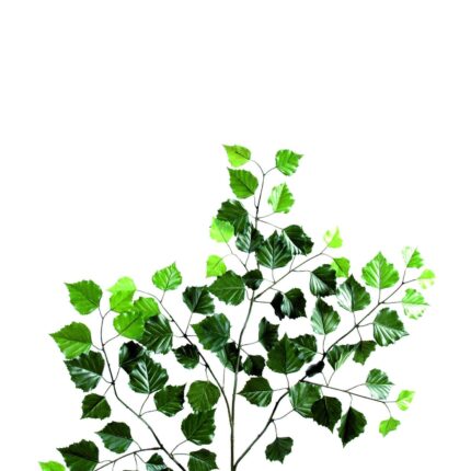 Künstlicher Birken-Zweig, ca 70cm, grün