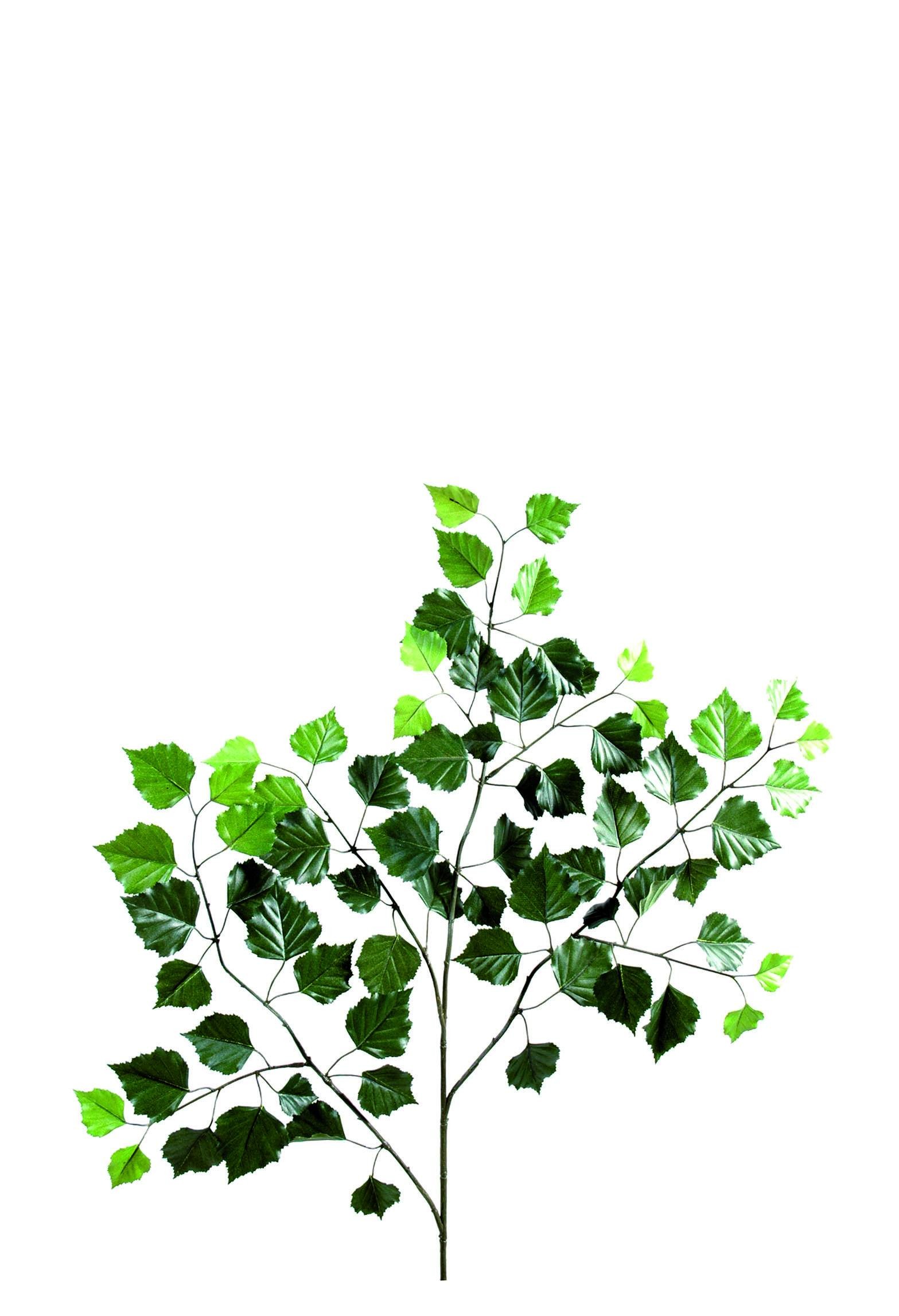 Künstlicher Birken-Zweig, ca 70cm, grün 1 Künstlicher Birken-Zweig, ca 70cm, grün