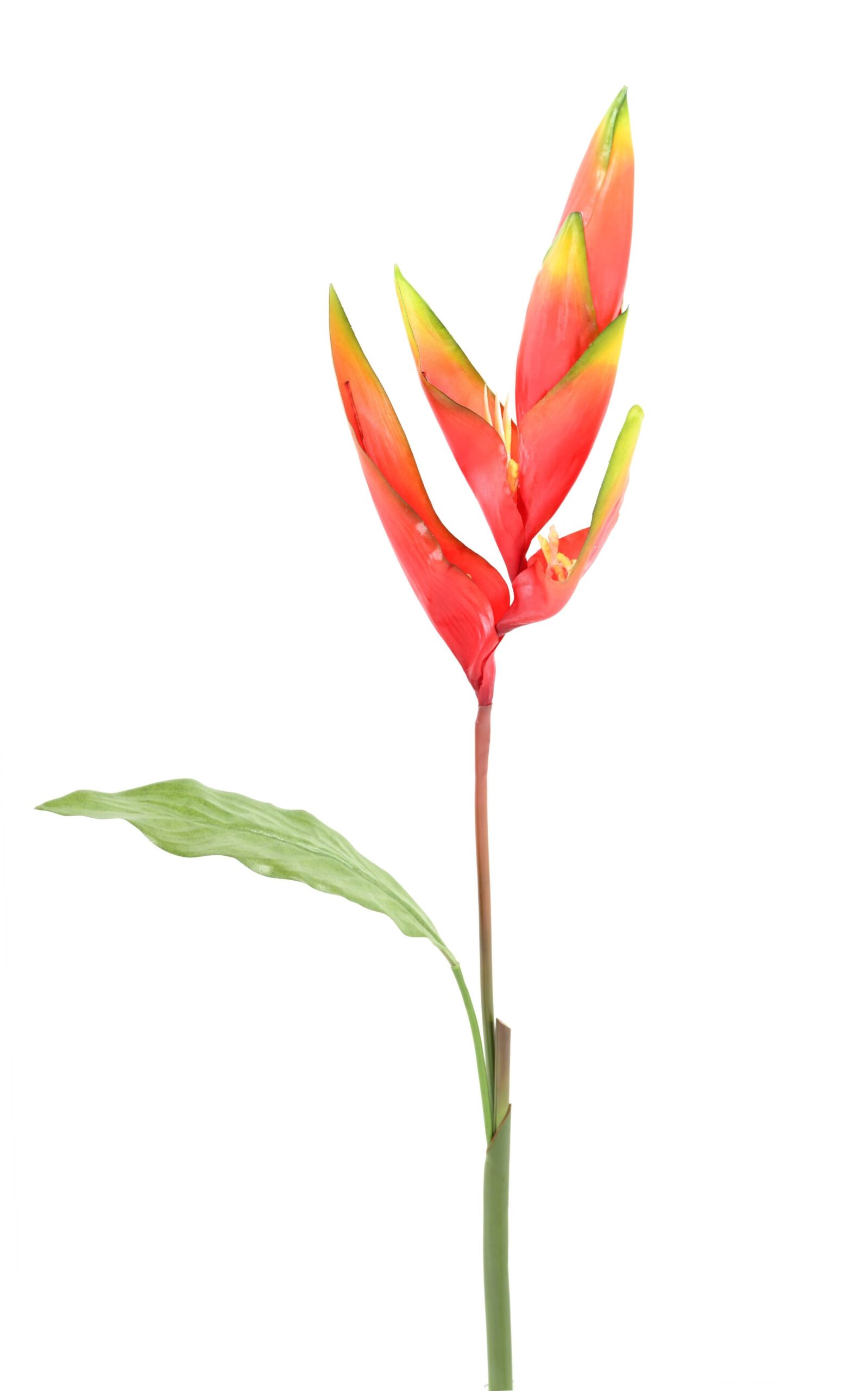 Künstliche Paradiesvogelblume, rot, ca. 95cm hoch 1 Künstliche Paradiesvogelblume, rot, ca. 95cm hoch