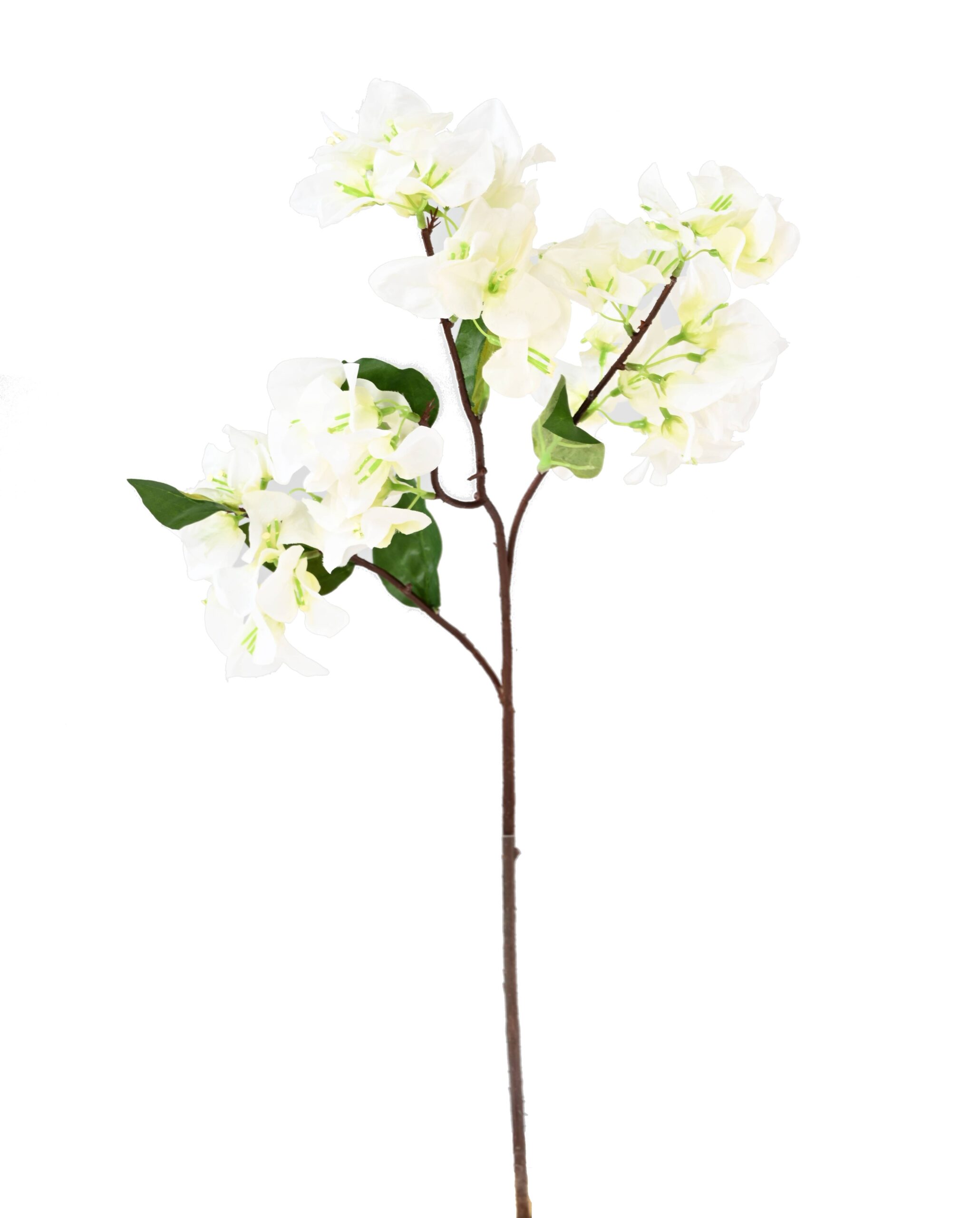 Künstliche Bougainvillea, bunt, ca. 68cm hoch 1 Künstliche Bougainvillea, bunt, ca. 68cm hoch