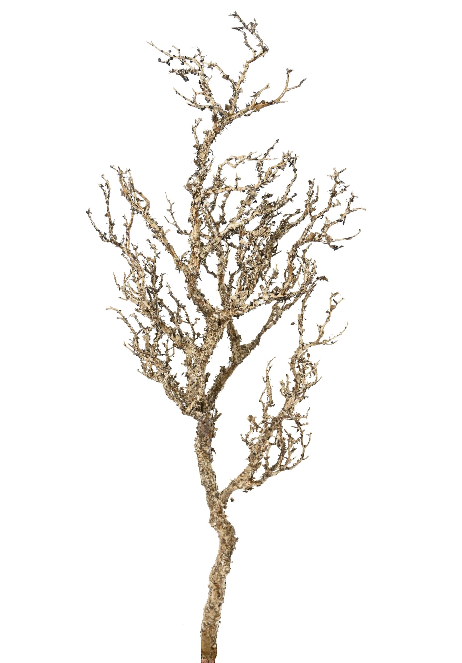 Künstlicher Deko-Ast, ca 115cm, braun 1 Künstlicher Deko-Ast, ca 115cm, braun