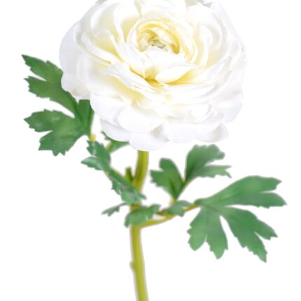 Künstliche Ranunkel, weiß, ca. 58cm hoch - Pflegeleicht!