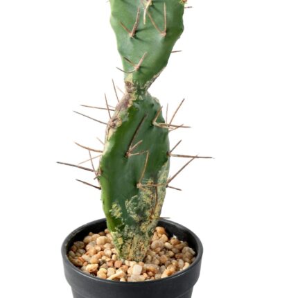 Künstlicher Kaktus: Pflegeleichte Deko für Ihr Zuhause