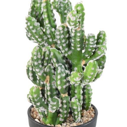 Künstlicher Kaktus: Pflegeleichte Deko für Ihr Zuhause