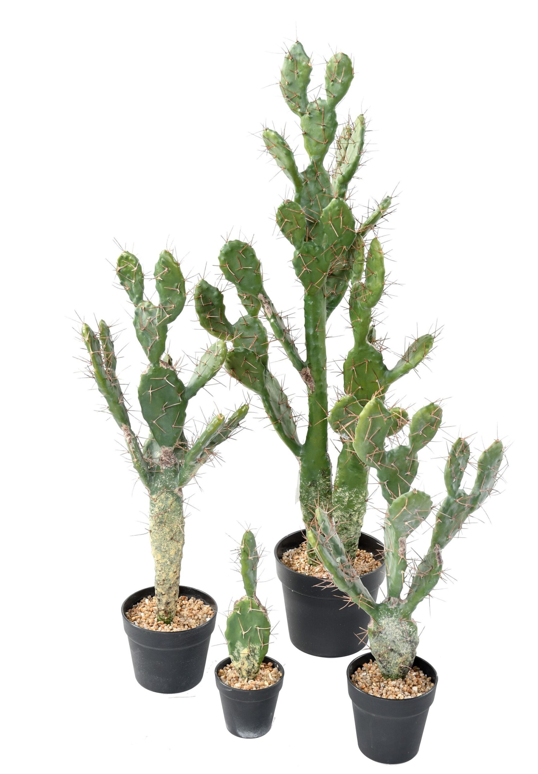 Künstlicher Kaktus, 75cm hoch – Pflegeleichte Deko 1 Künstlicher Kaktus, 75cm hoch – Pflegeleichte Deko