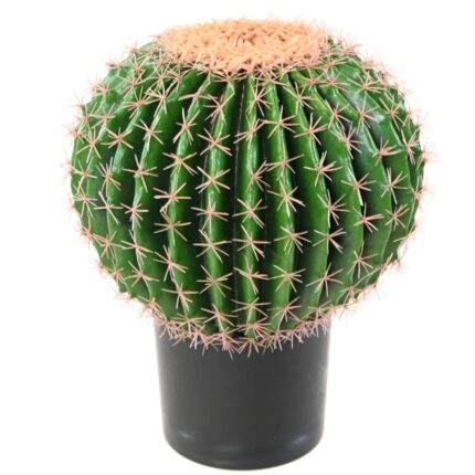 Künstlicher Echino-Kaktus: Pflegeleichte Deko für Ihr Zuhause