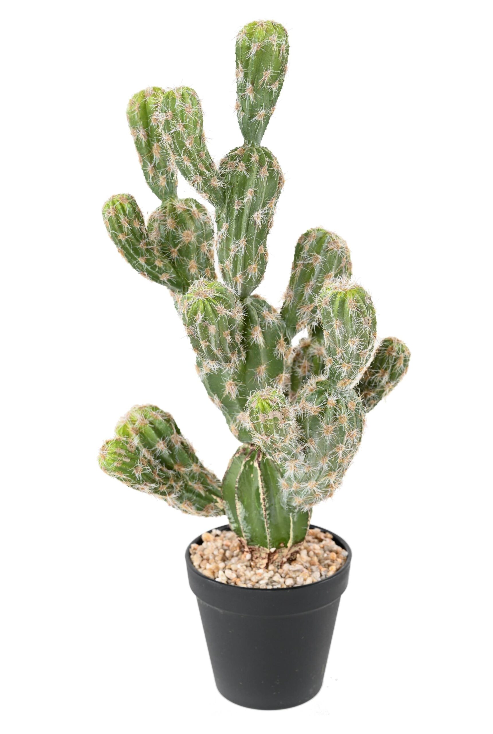 Künstlicher Echino-Kaktus: Pflegeleichte Deko für Ihr Zuhause 1 Künstlicher Echino-Kaktus: Pflegeleichte Deko für Ihr Zuhause