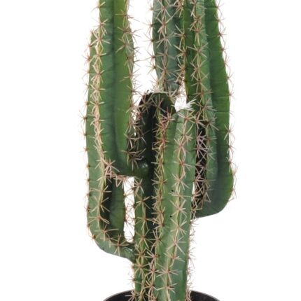 Künstlicher Finger-Kaktus: Pflegeleichte Deko für Ihr Zuhause