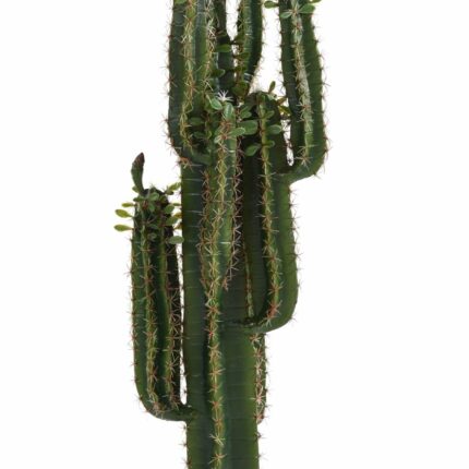 Künstlicher Finger-Kaktus: Pflegeleichte Deko für Ihr Zuhause