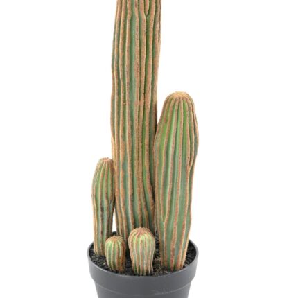 Künstlicher Finger-Kaktus: Pflegeleichte Deko für Ihr Zuhause