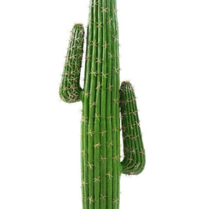 Künstlicher Mexikanischer Kaktus, 145cm hoch, grün