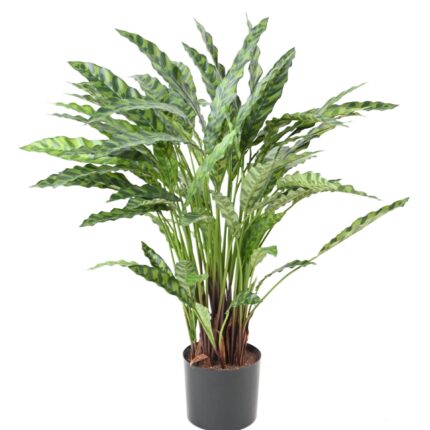 Künstliche Calathea: Pflegeleichte Deko-Pflanze 90cm