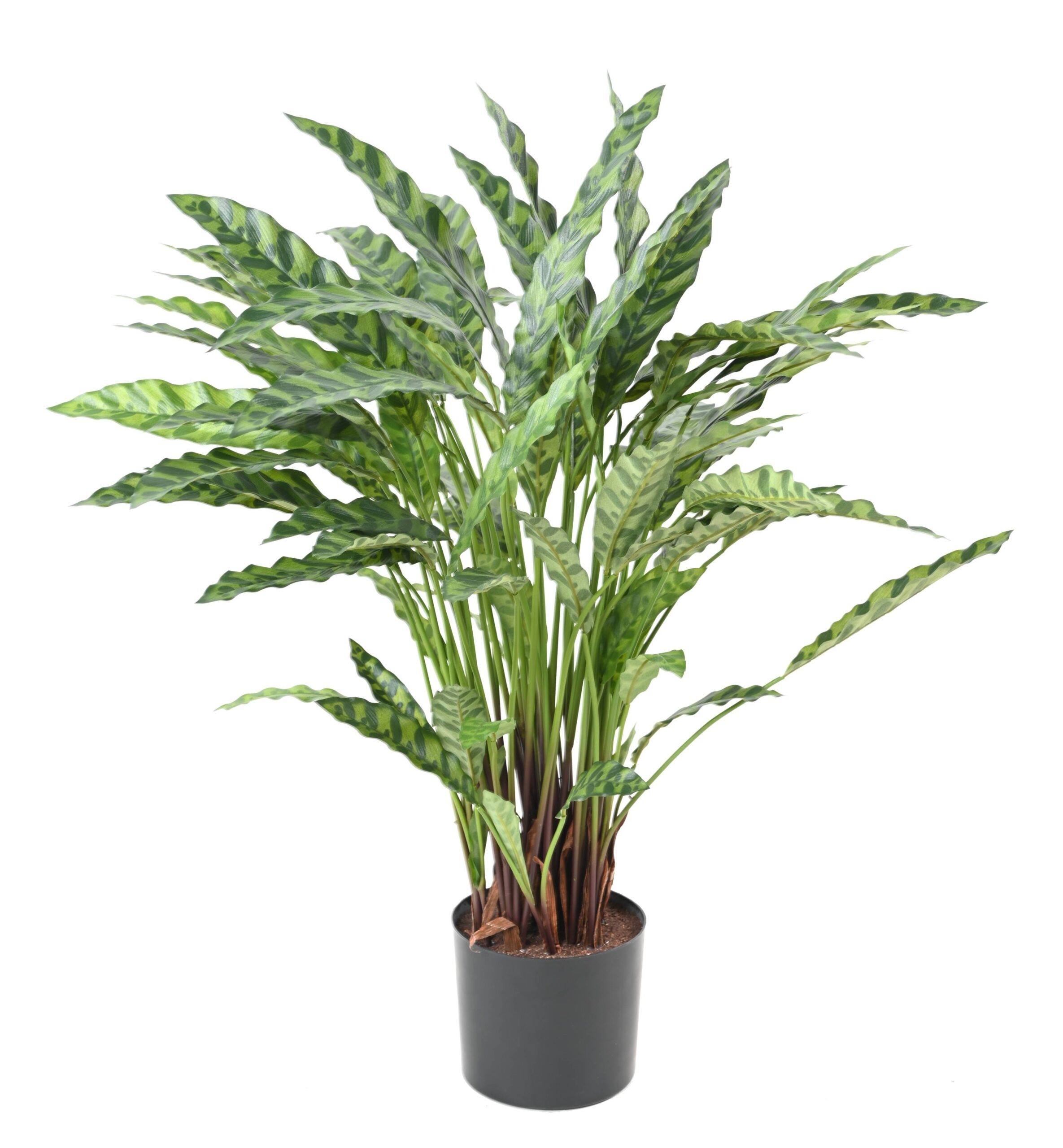 Künstliche Calathea: Pflegeleichte Deko-Pflanze 90cm 1 Künstliche Calathea: Pflegeleichte Deko-Pflanze 90cm