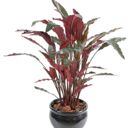 Künstliche Calathea: Farbige Eleganz für Ihr Zuhause