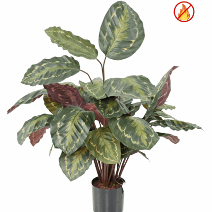 Künstliche Calathea, ca. 70cm - Schwer entflammbar nach B1/RF2