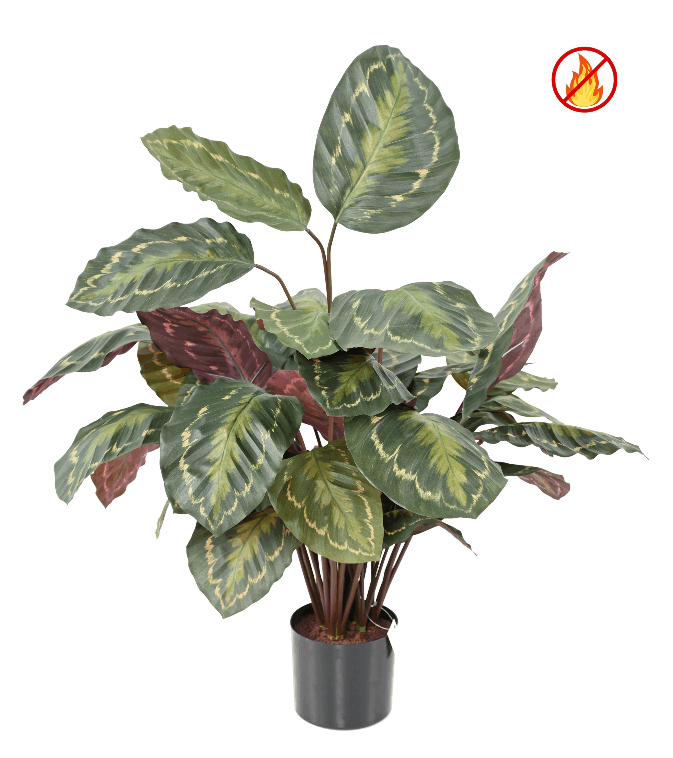 Künstliche Calathea, ca. 70cm - Schwer entflammbar nach B1/RF2 1 Künstliche Calathea, ca. 70cm - Schwer entflammbar nach B1/RF2