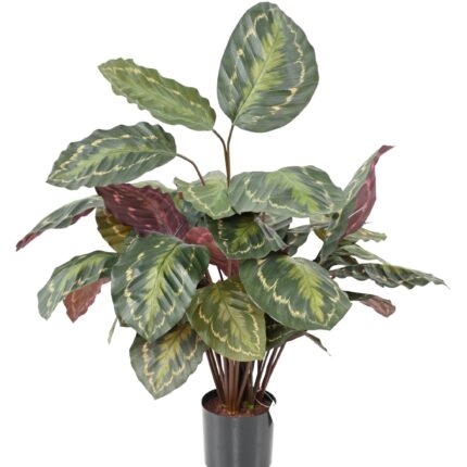 Künstliche Calathea: Farbige Eleganz für Ihr Zuhause