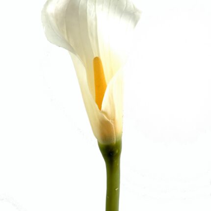 Künstliche Calla-Lilie, weiß, ca. 90cm hoch