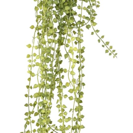 Künstliche Callisia Hängepflanze, ca. 55cm