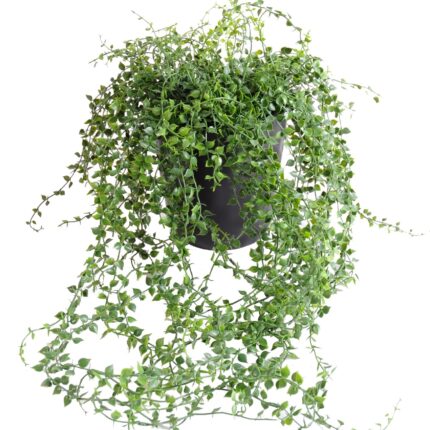 Künstliche Callisia Hängepflanze, ca. 70cm