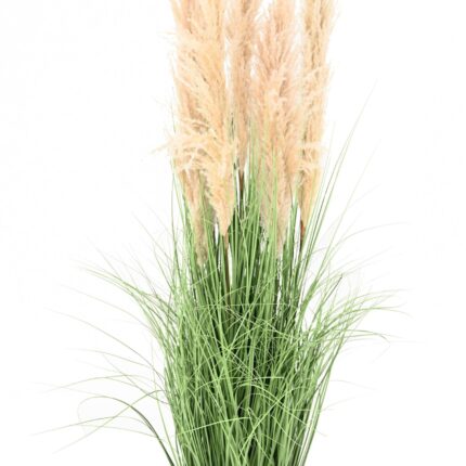 Künstlicher Carex: Pflegeleichte Deko für Ihr Zuhause