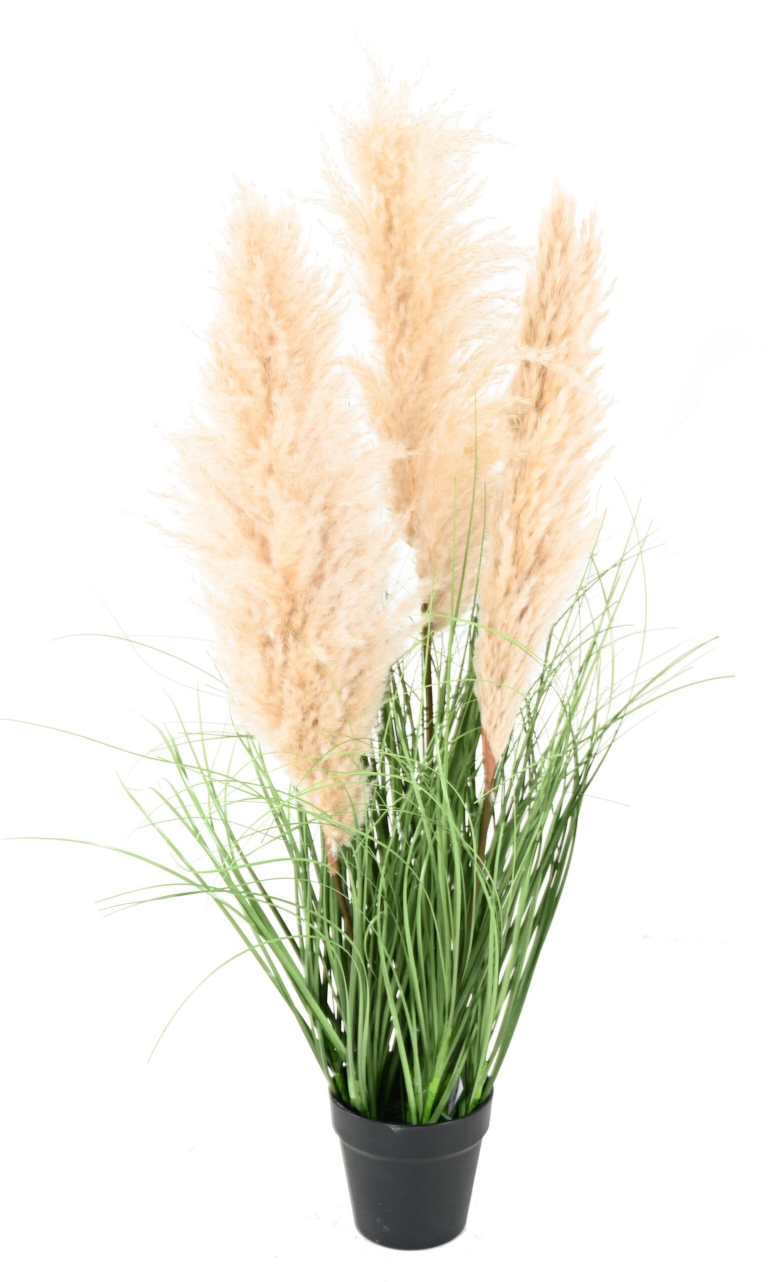 Künstlicher Carex: Pflegeleichte Raumdeko für Ihr Zuhause 1 Künstlicher Carex: Pflegeleichte Raumdeko für Ihr Zuhause