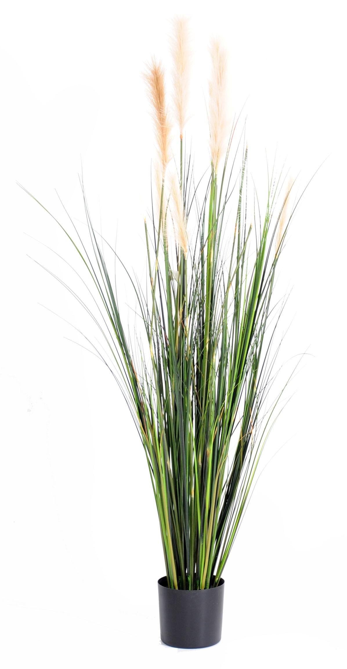 Künstlicher Schilf 180cm: Pflegeleichte Eleganz für Ihr Zuhause 1 Künstlicher Schilf 180cm: Pflegeleichte Eleganz für Ihr Zuhause