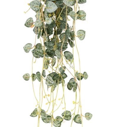 Künstliche Hängepflanze Ceropegia, ca. 70cm, feuerbeständig nach B1/RF2
