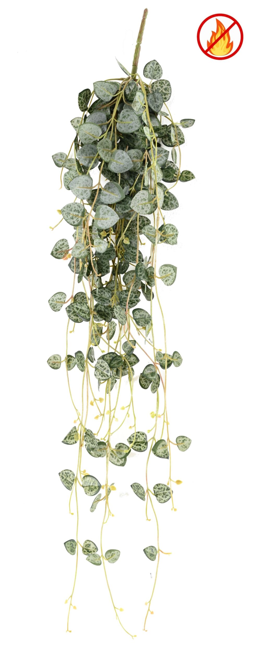 Künstliche Hängepflanze Ceropegia, ca. 70cm, feuerbeständig nach B1/RF2 1 Künstliche Hängepflanze Ceropegia, ca. 70cm, feuerbeständig nach B1/RF2
