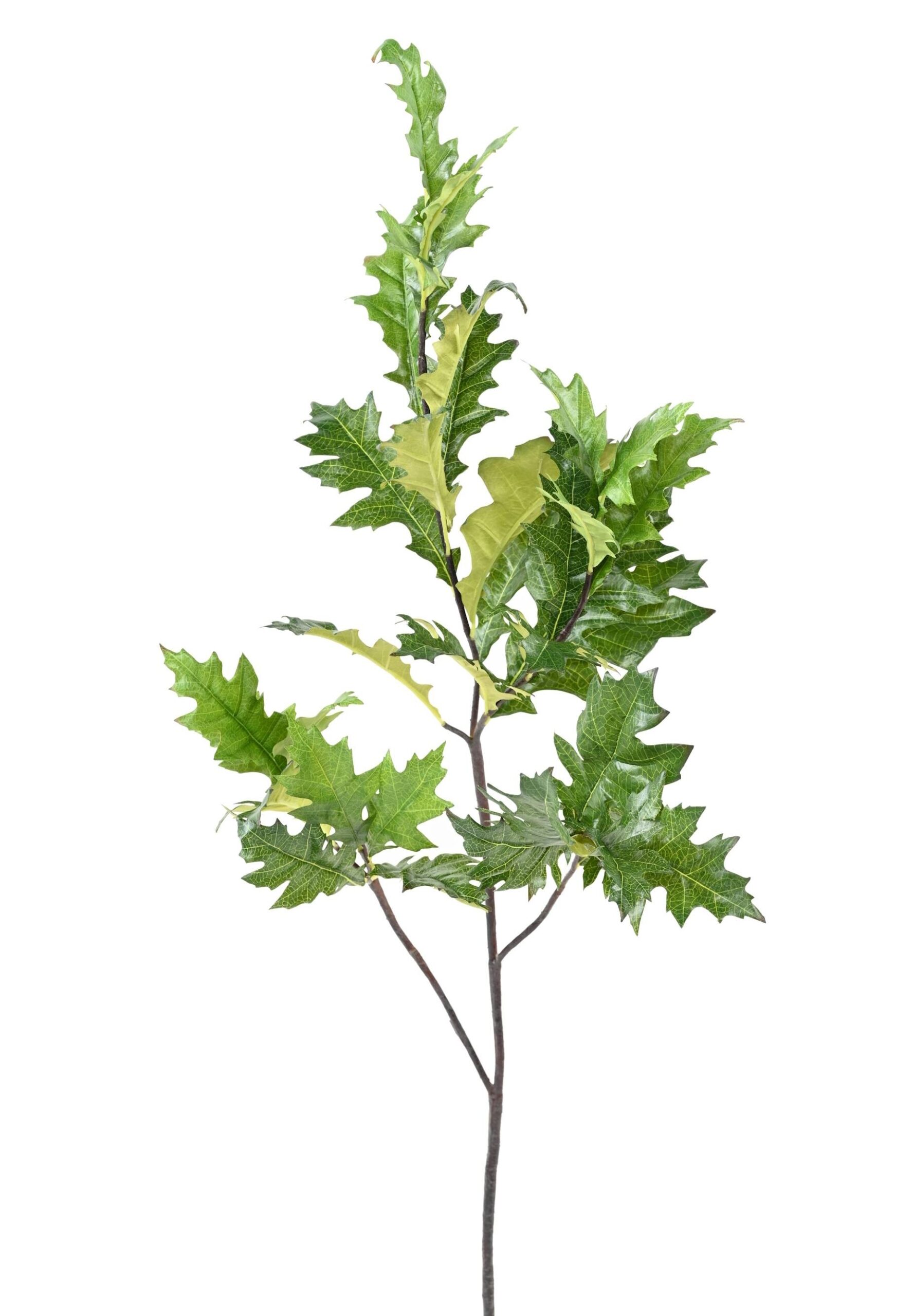 Künstlicher Eichenblattzweig, ca 110cm, grün 1 Künstlicher Eichenblattzweig, ca 110cm, grün