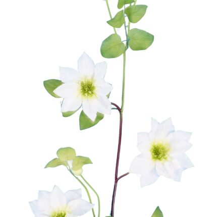 Künstlicher Clematis Stiel, ca 107cm, weiss