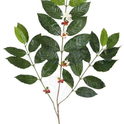 Künstlicher Kaffeebaum Zweig, ca 80cm, grün
