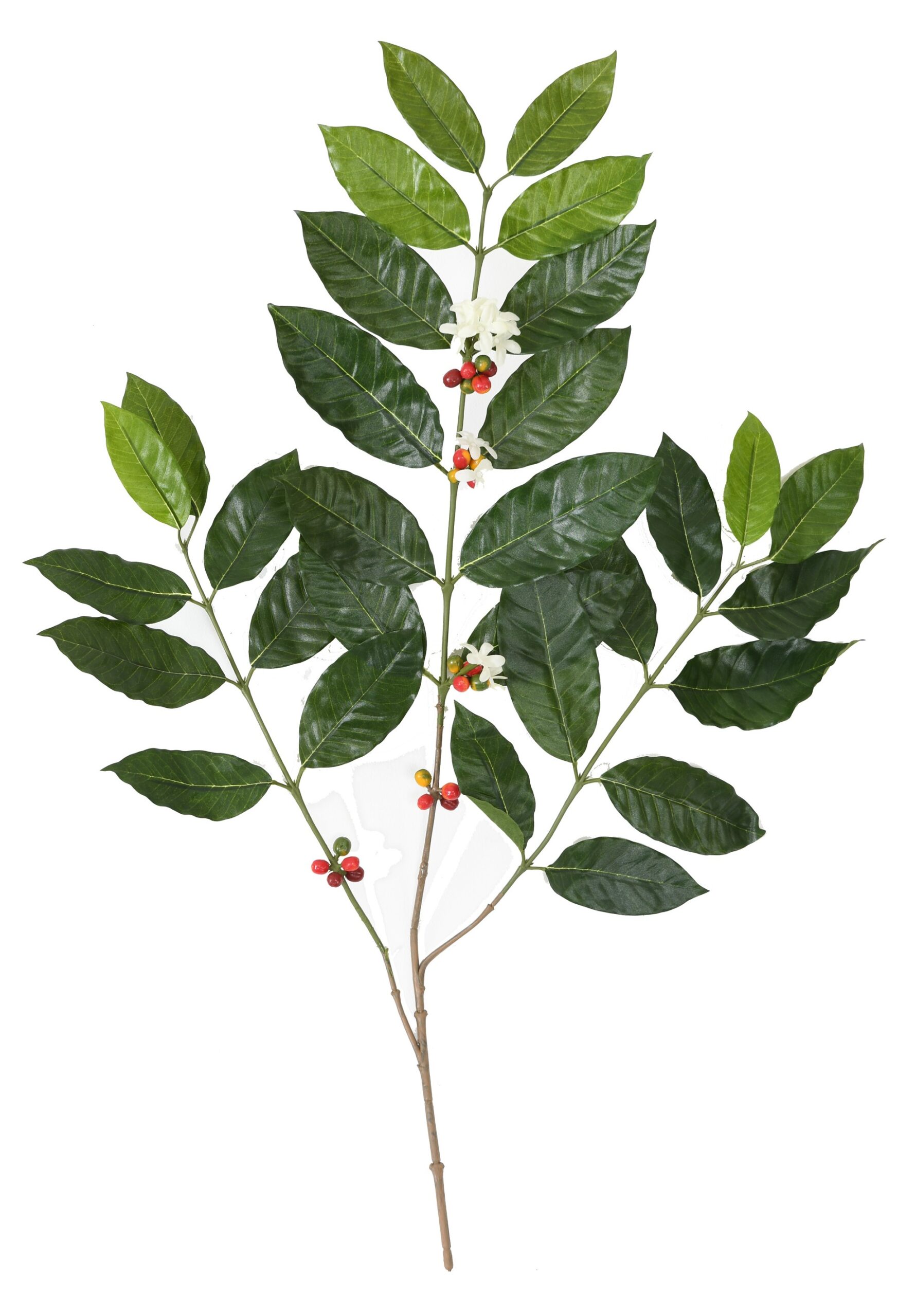 Künstlicher Kaffeebaum Zweig, ca 80cm, grün 1 Künstlicher Kaffeebaum Zweig, ca 80cm, grün