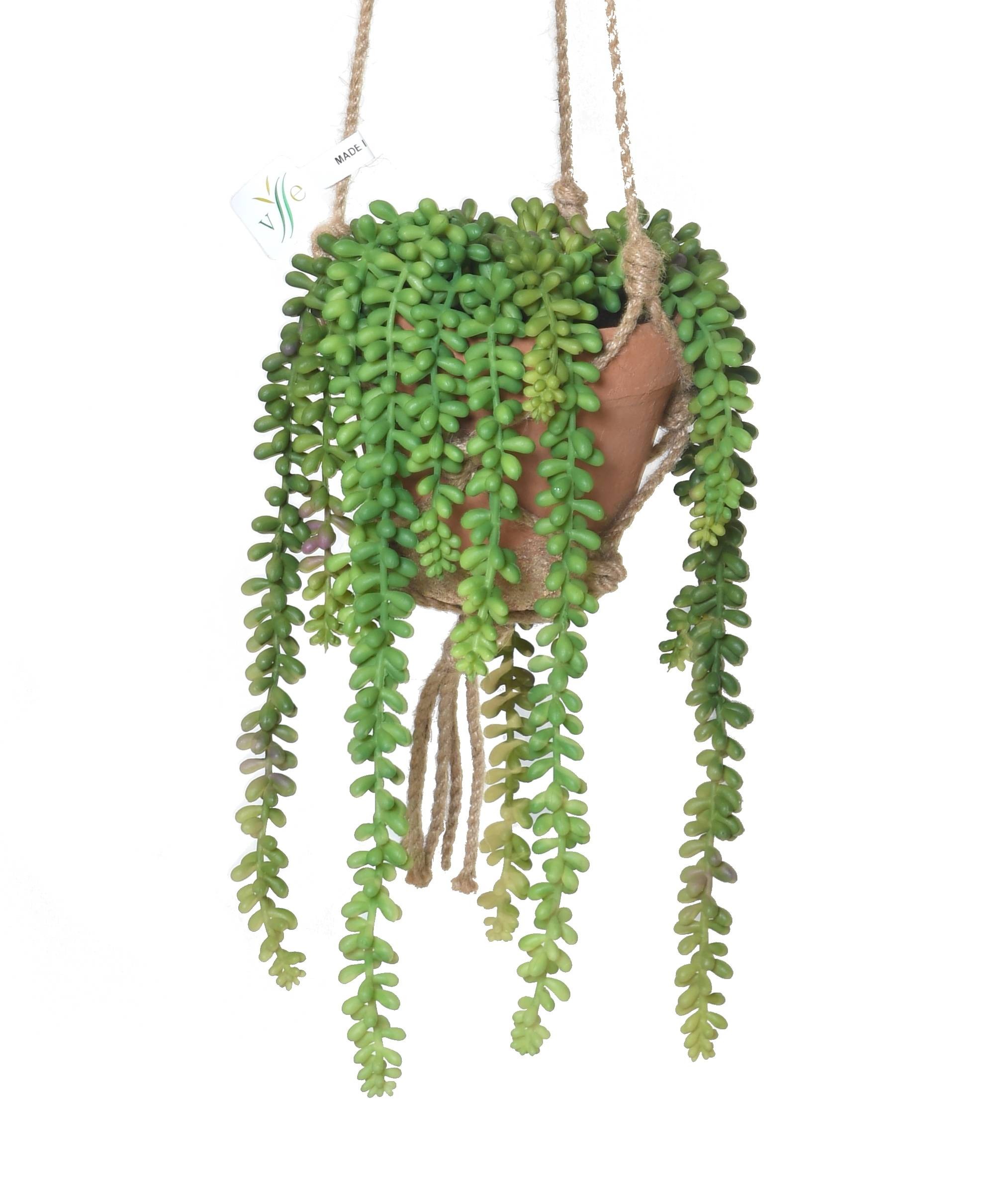 Künstliche Crassula: Pflegeleichter Geldbaum für Ihr Zuhause 1 Künstliche Crassula: Pflegeleichter Geldbaum für Ihr Zuhause