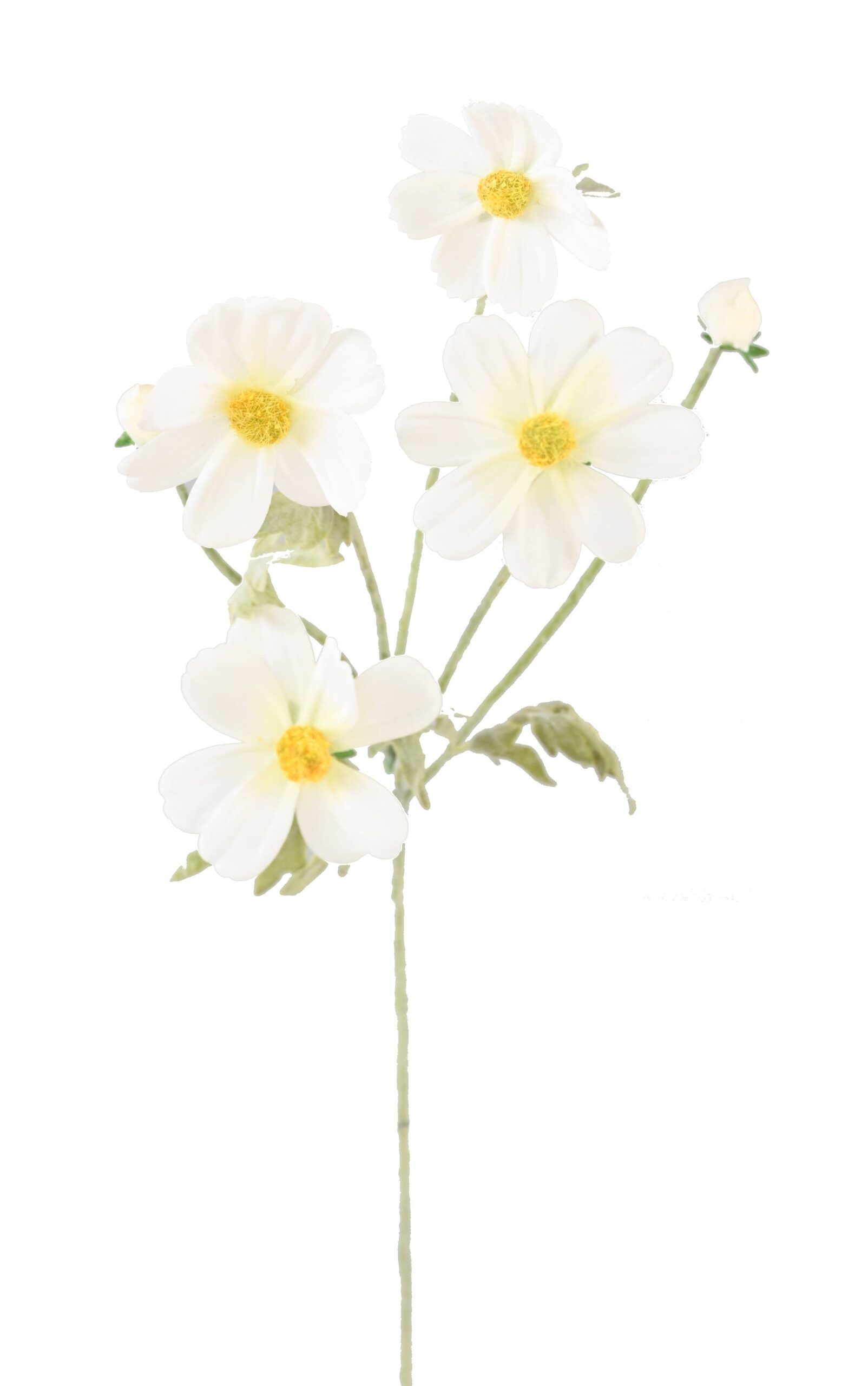 Künstliche Cosmos-Blume, weiß, ca. 62cm hoch 1 Künstliche Cosmos-Blume, weiß, ca. 62cm hoch