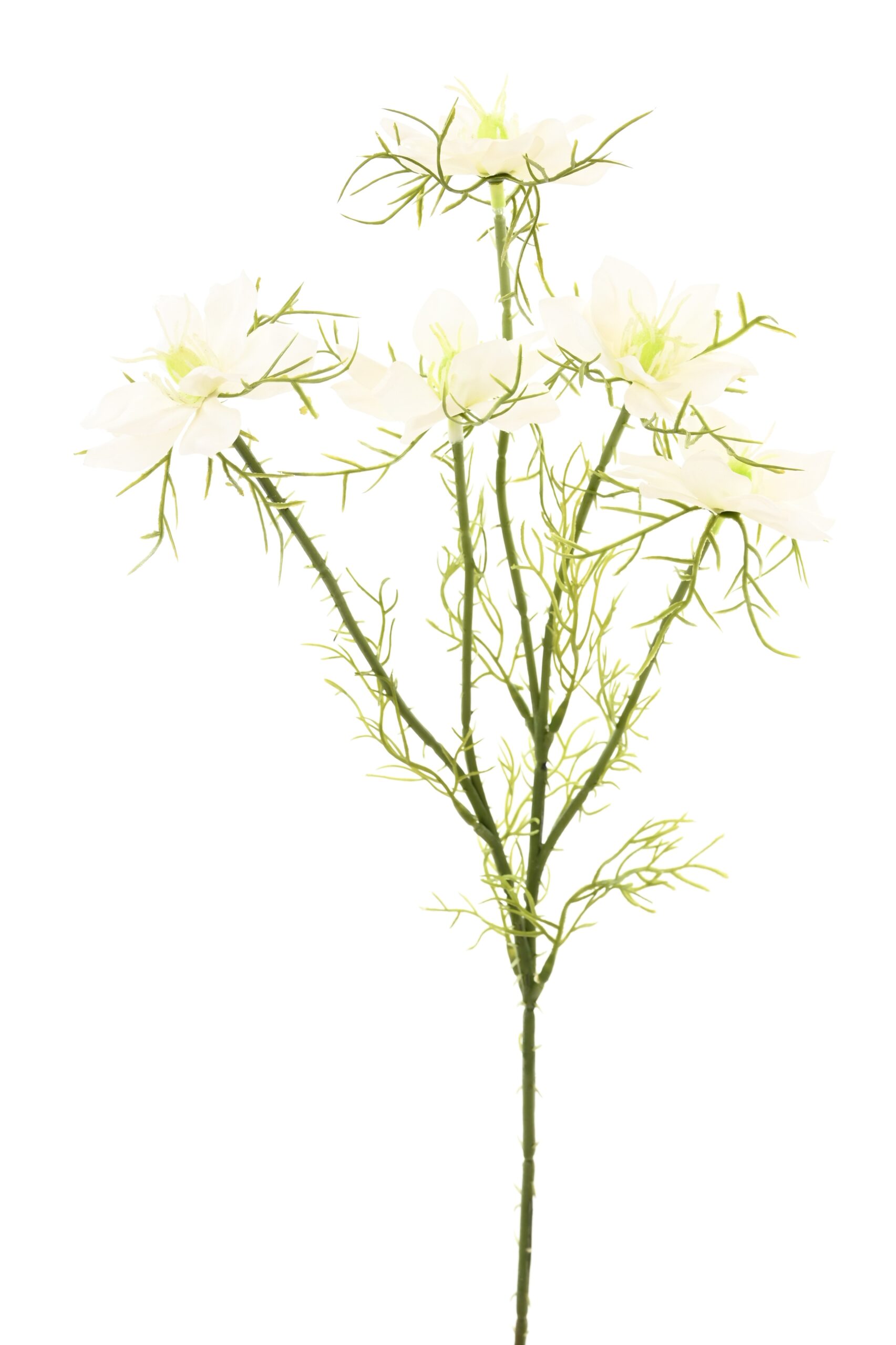 Künstliche Cosmosblume, weiß, ca. 56cm hoch 1 Künstliche Cosmosblume, weiß, ca. 56cm hoch