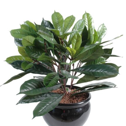 Künstlicher Cyathistipula, 50cm hoch, grün - Pflegeleicht!