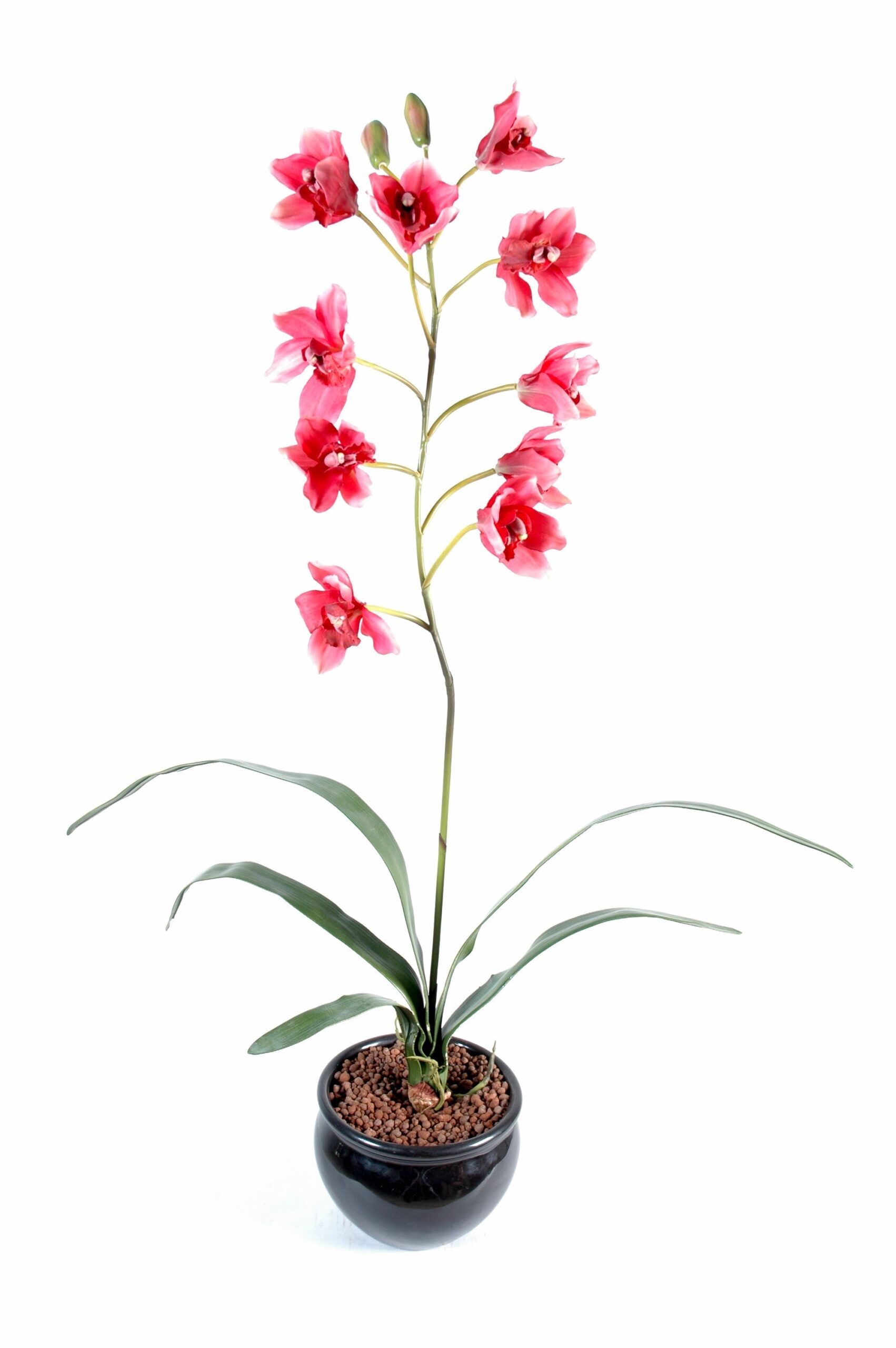 Künstlicher Cymbidium, ca 80cm, magenta 1 Künstlicher Cymbidium, ca 80cm, magenta