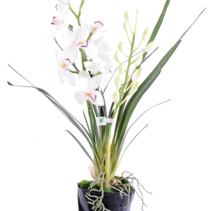 Künstlicher Cymbidium, ca 80cm, weiss
