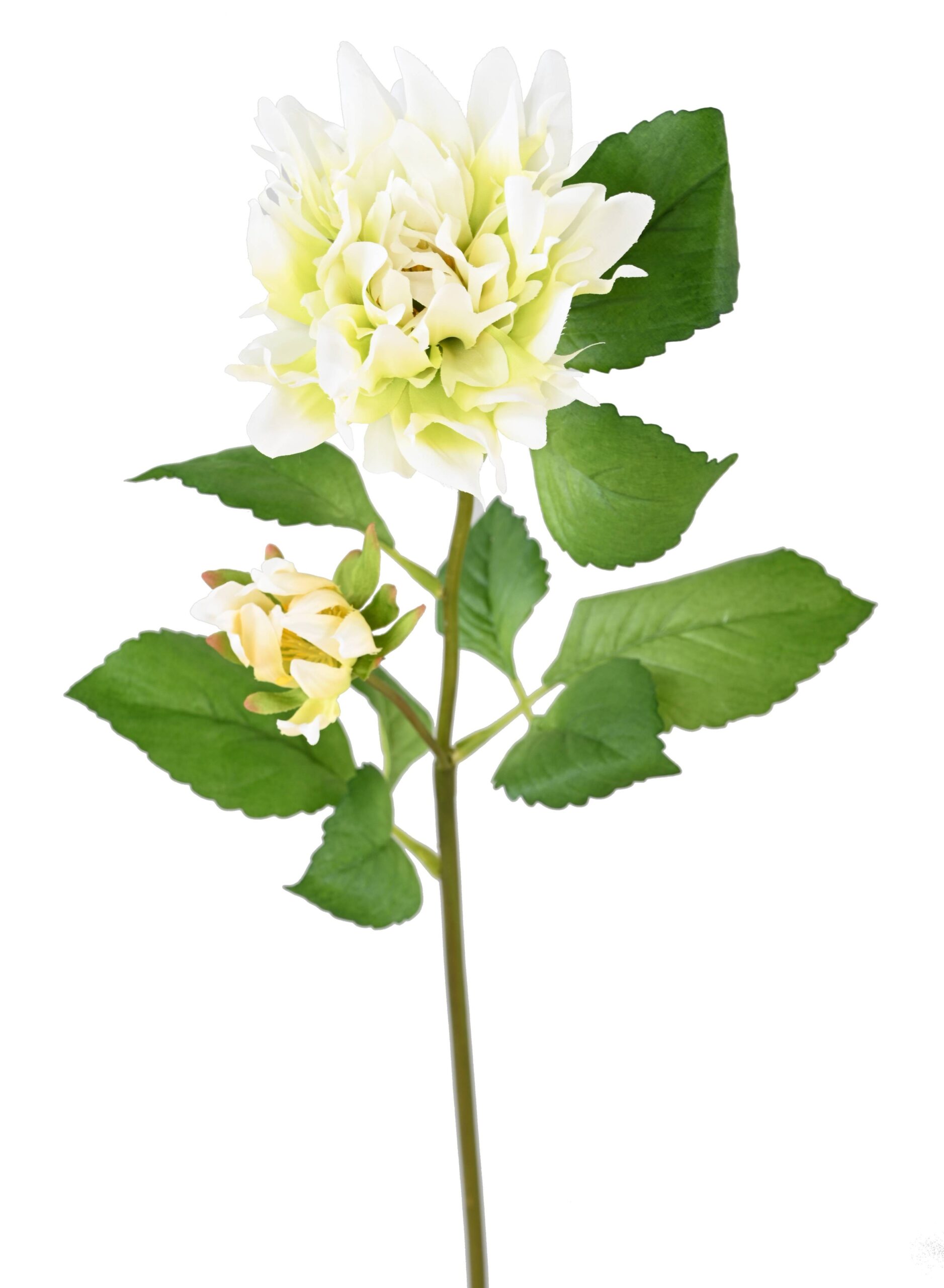 Künstliche Dahlie, weiß, ca. 75cm hoch - Pflegeleicht! 1 Künstliche Dahlie, weiß, ca. 75cm hoch - Pflegeleicht!