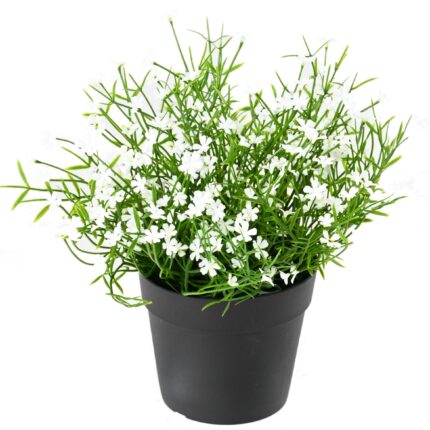 Künstliches Gänseblümchen-Arrangement, 20cm, UV-beständig, weiss