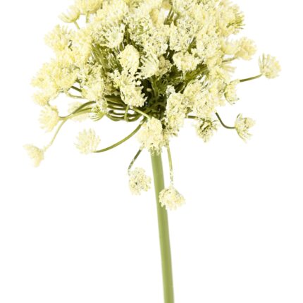 Künstliche Daucus Carota, weiß, ca. 54cm hoch