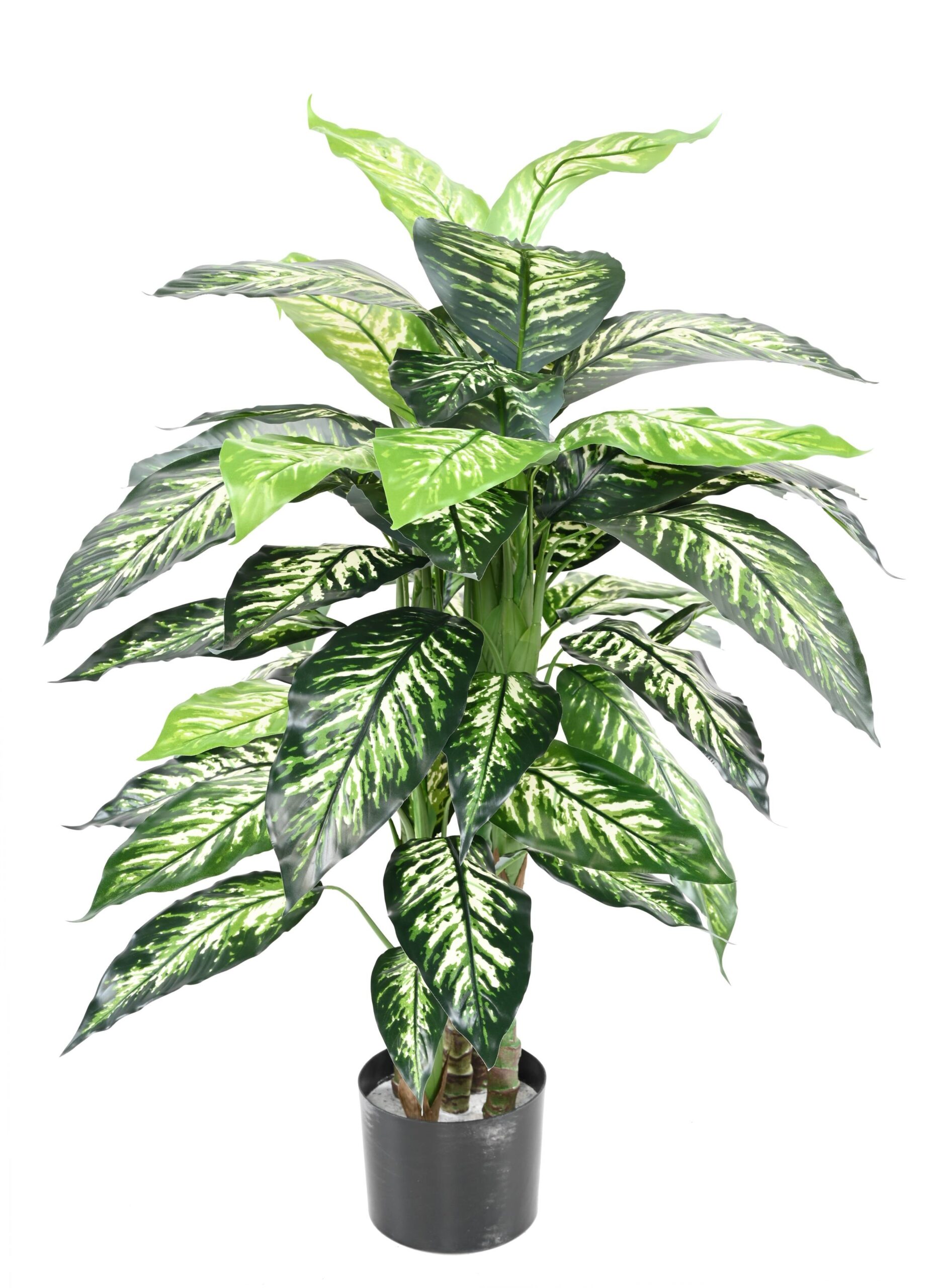 Künstliche Dieffenbachia, 100cm hoch, pflegeleicht 1 Künstliche Dieffenbachia, 100cm hoch, pflegeleicht