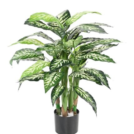 Künstliche Dieffenbachia, 80cm hoch, pflegeleicht