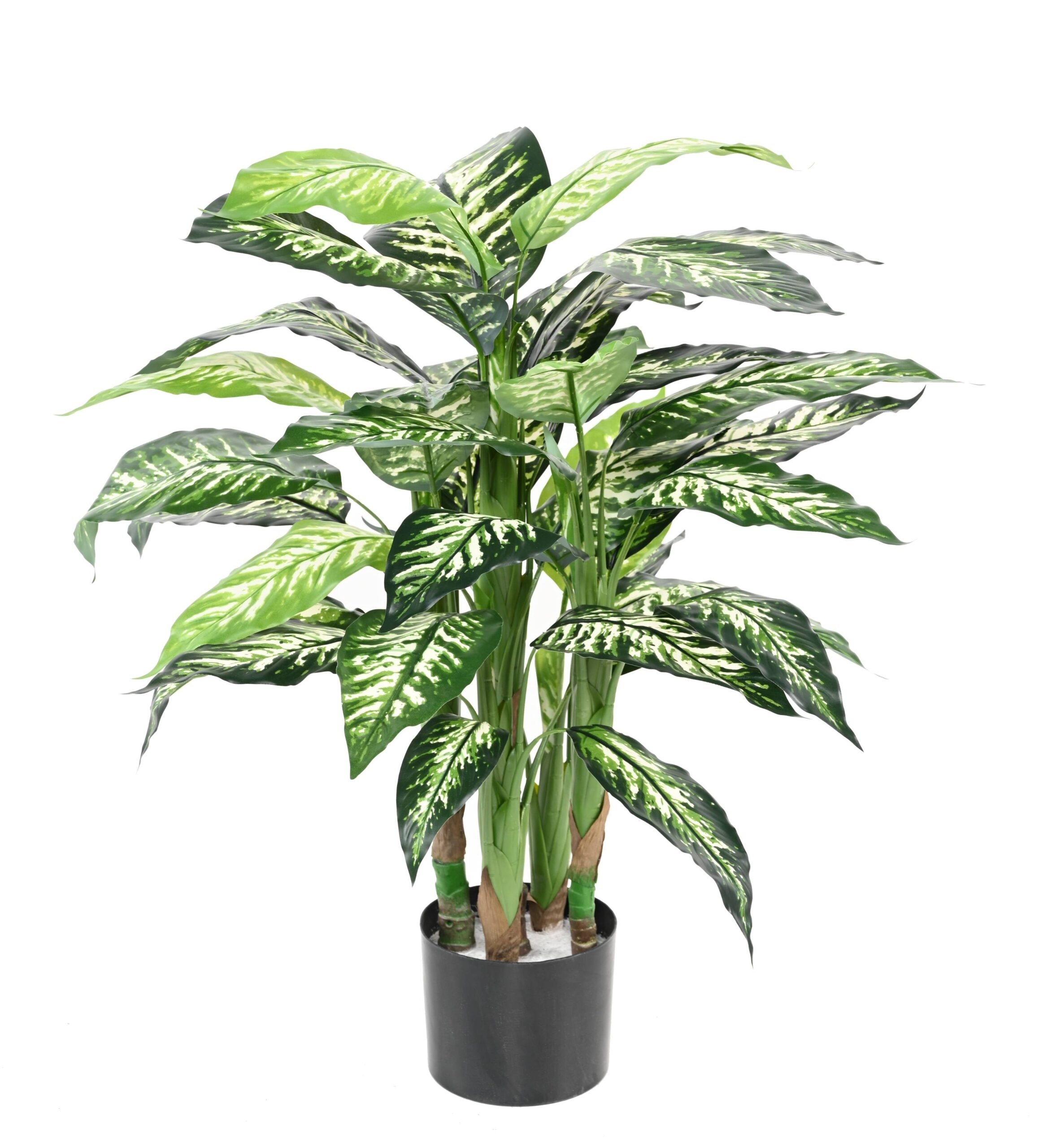 Künstliche Dieffenbachia, 80cm hoch, pflegeleicht 1 Künstliche Dieffenbachia, 80cm hoch, pflegeleicht